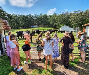 group farm experience woodhill mountain wines