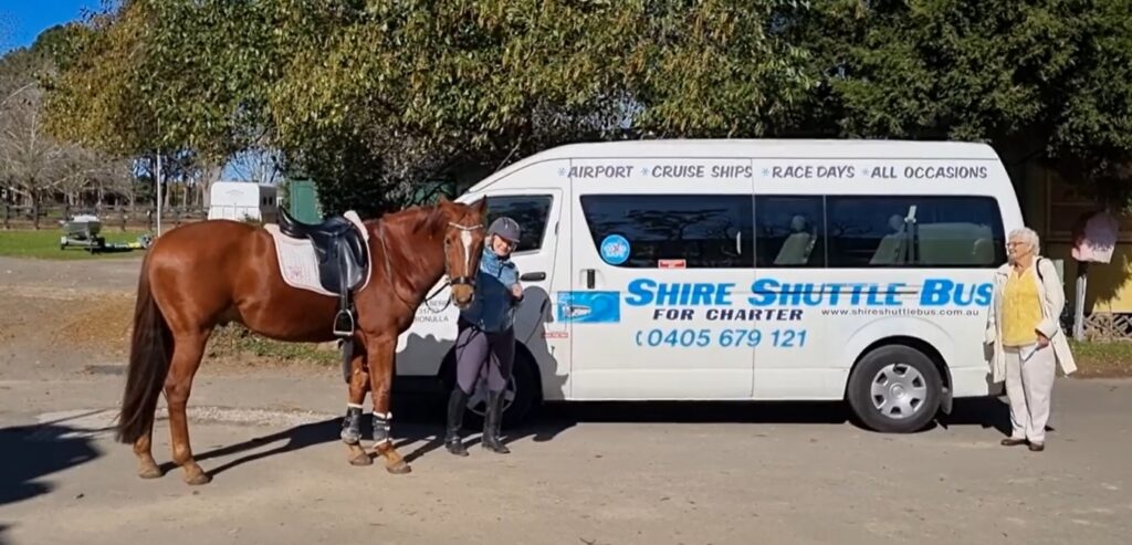 horse with shire shuttle bus